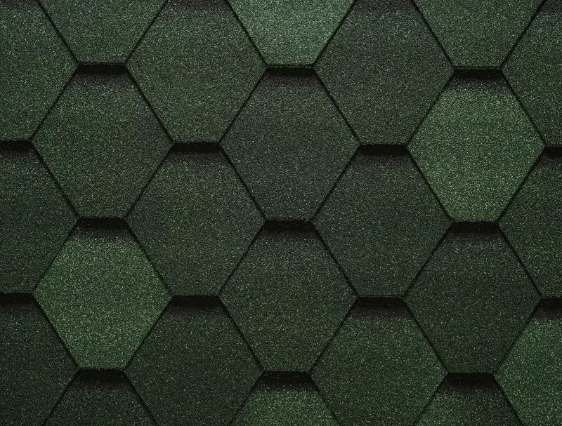 Sota — Тайга