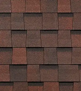 Зрелый каштан