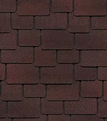 Зрелый каштан